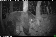 Clavera 15-04-2015 Pyros PS (6)