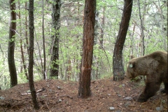 Clavera 26-05-2014 Pyros PS (1)