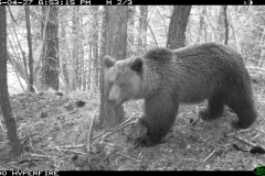 Clavera 27-04-2015 PS (2)