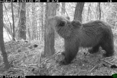 Clavera 27-04-2015 PS (3)