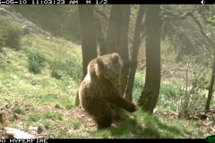 Deserto 10-05-2015 1 subadult PS (15)