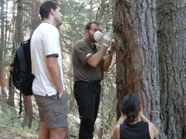 Enlaç a Documentació