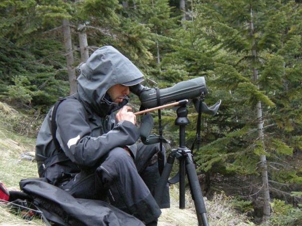 Enllaç a El Projecte