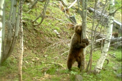 Rovinets 18-05-2014 Boavi! i 2 cadells PS (3)