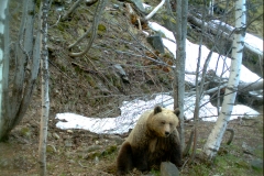 Rovinets 29-04-2014 Caramellita PS (12)