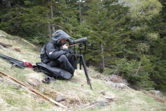 Solana de Llurri 05-06-2013 PS (2)