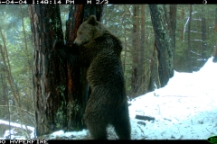 Trotxa Montgoso Raspamala 04-04-2014 Pelut PS (4)