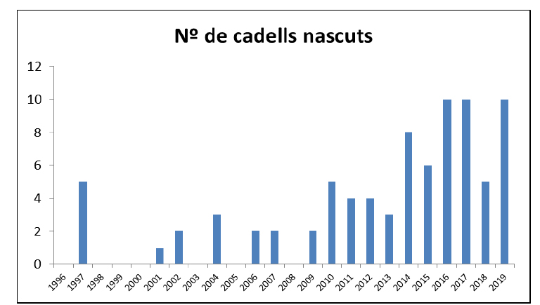 Número anual de cachorros nacidos en los Pirineos entre 1996 y 2019 (total = 45 camadas, 82 cachorros).
